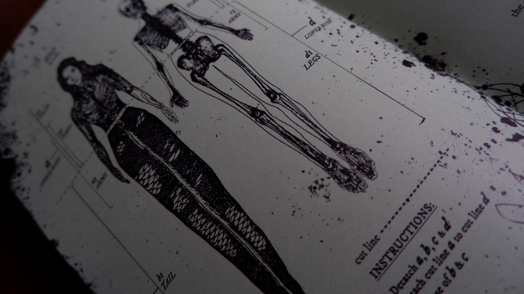 THE LAST CLOSET ON THE LEFT: VOL.2